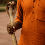 Homme tenant un Cobra