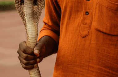 Les risques de l’effet Cobra : quand les indicateurs deviennent contre-productifs